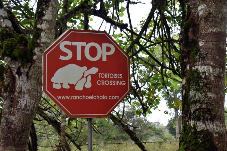 Natuur op z’n mooist op de Galapagos Eilanden!