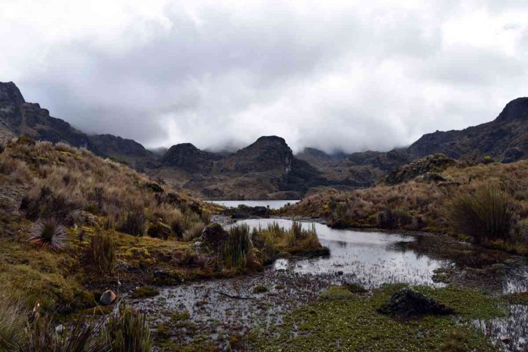 Vanmorgen heb ik me verslapen…