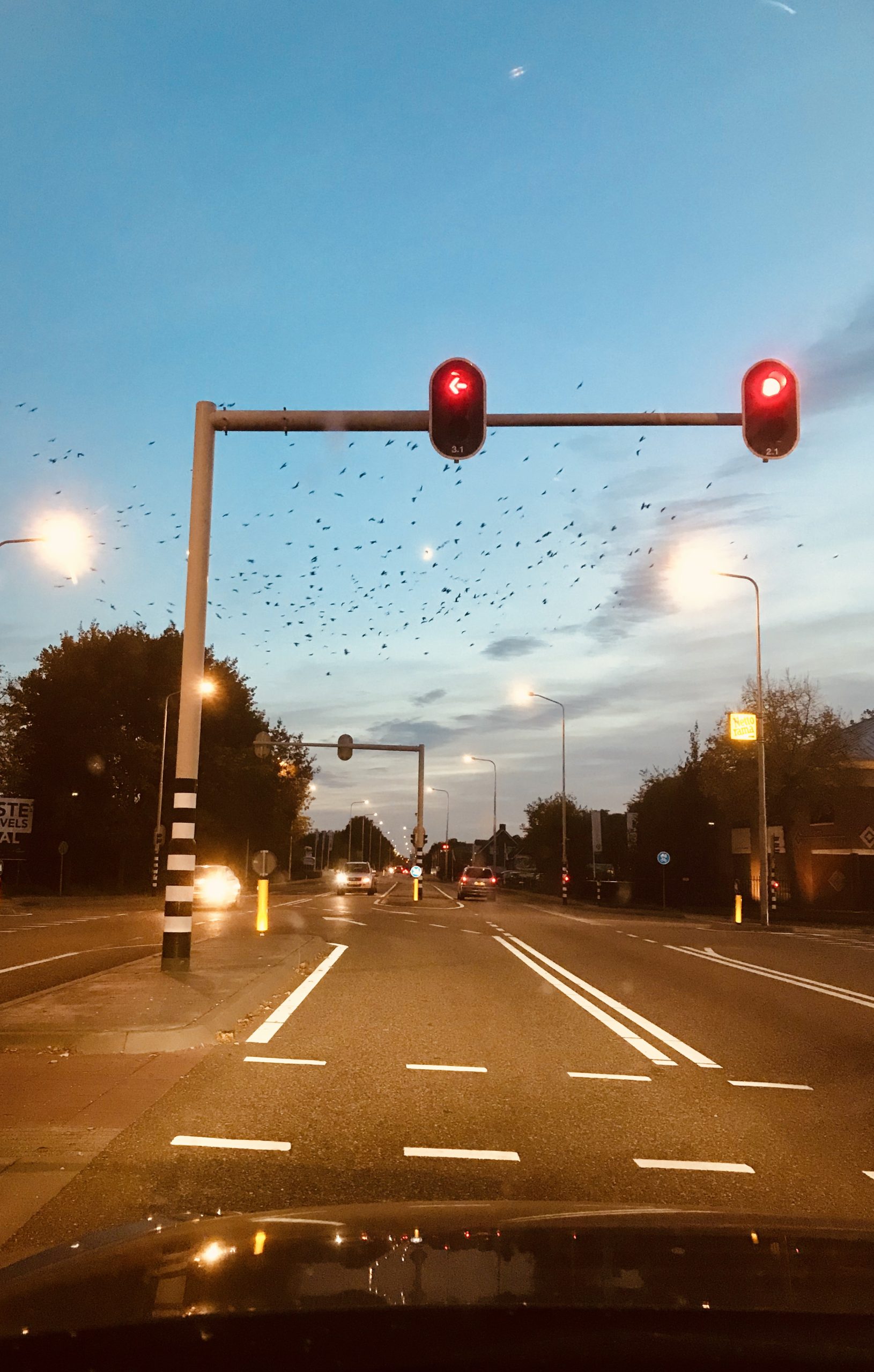 Gewoon een mooie lucht en veel vogels bij het stoplicht in Pey