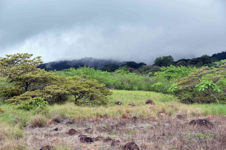 Parque Nacional Rincón de la Vieja