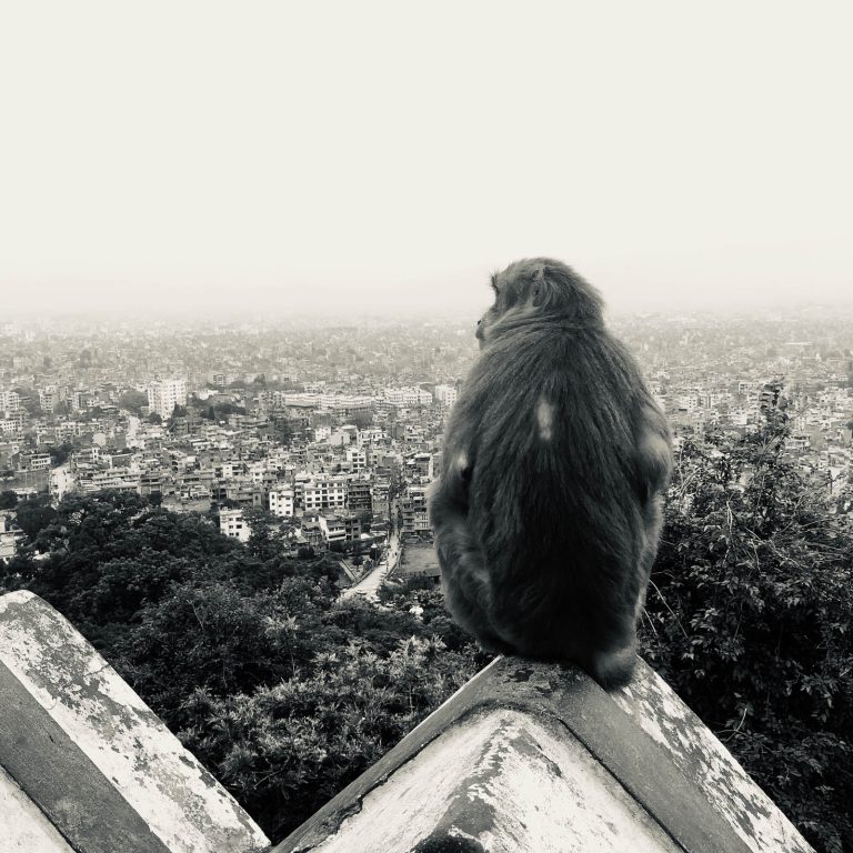 Een snelle inkijk in het boeddhisme