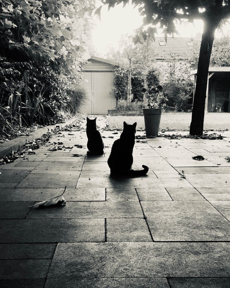 Bewakers van het fort