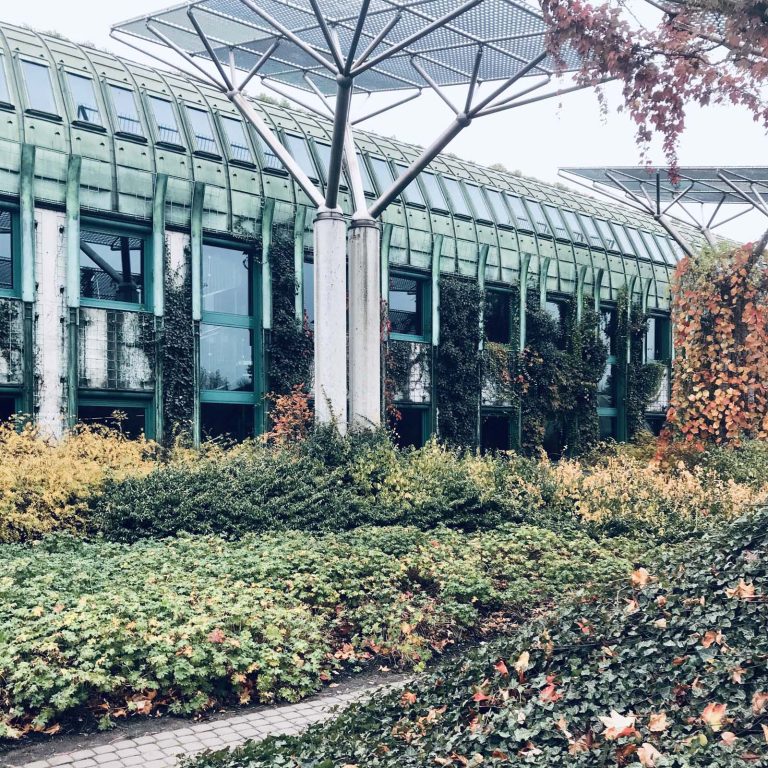 University of Warsaw Library: roof garden