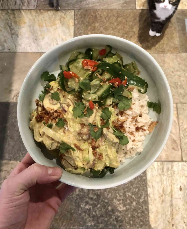 Vegetarische rendang met Chinese kool en paddenstoelen, kokosrijst en gemarineerde komkommer