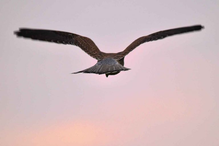 Quote van Phil Knight – Nike