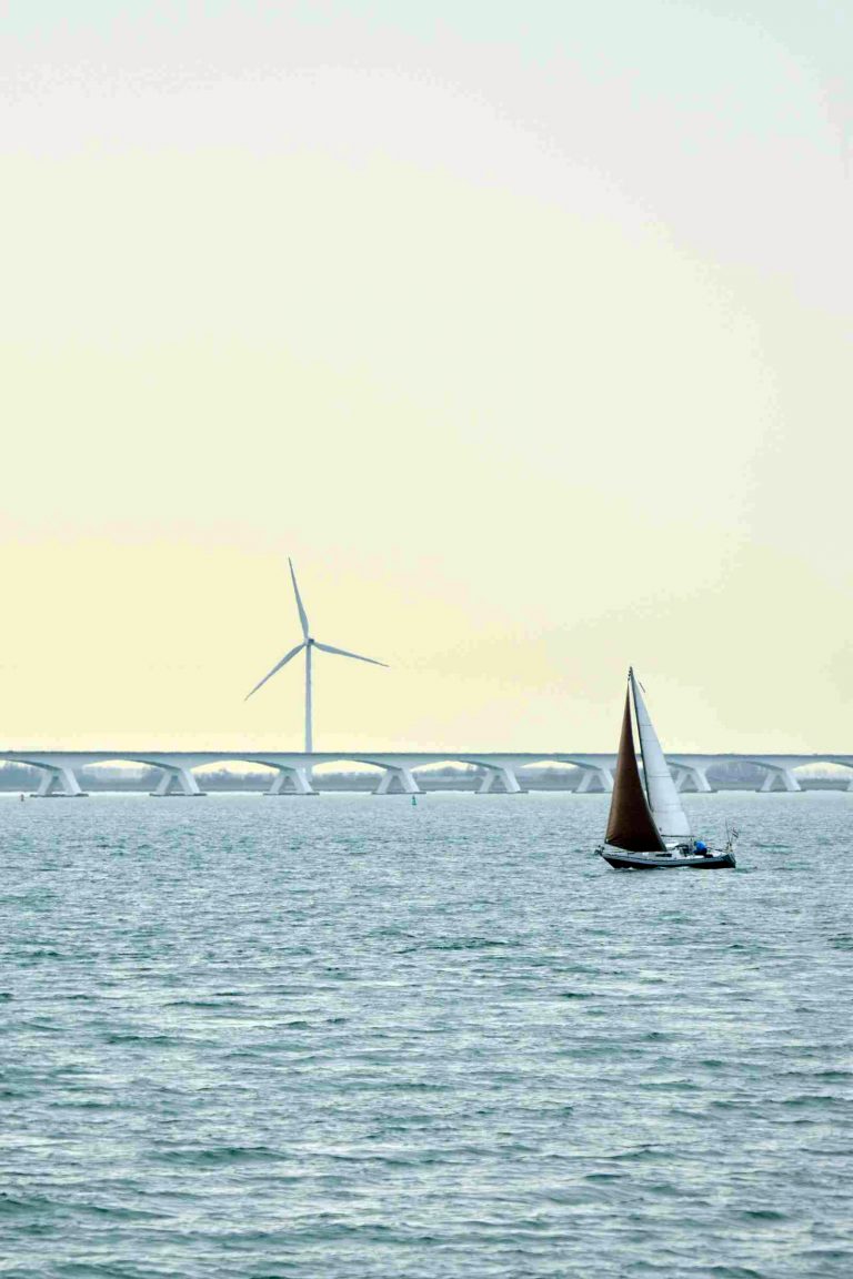 Wandelen bij de Bruintjeskreek en in Zierikzee