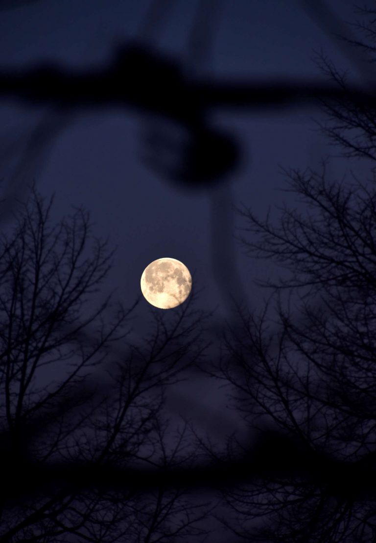 Zit je weer te dromen, jochie?