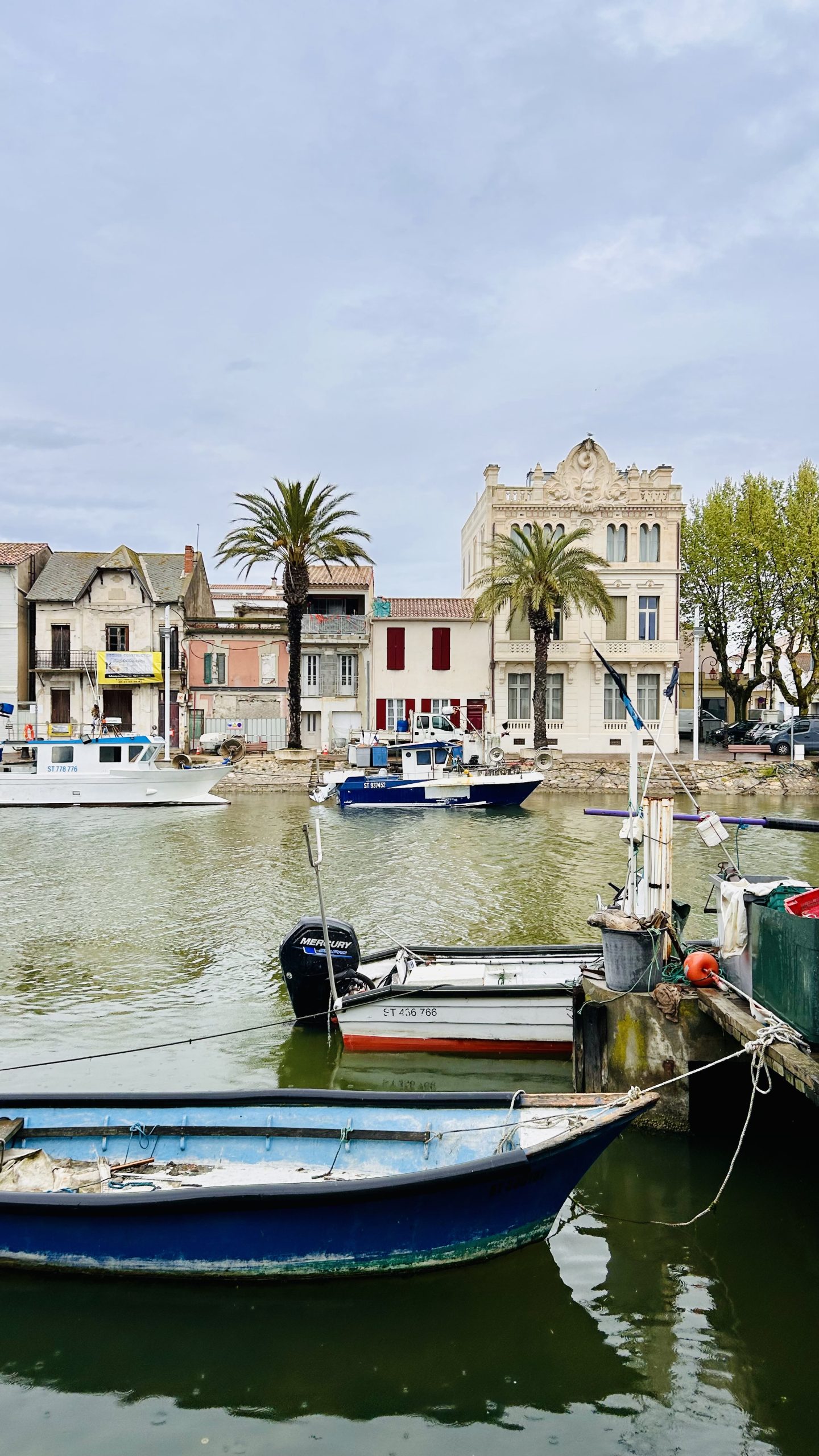 Rondreis door de  Camargue